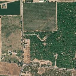 Dogtown map(satellite map)