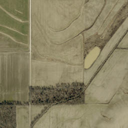 County Rd 1000 E Lynnville IN 47619 High Resolution Satellite Map