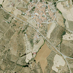 Casas de Reina map(satellite map)