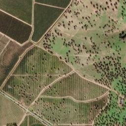 Vidigueira map(satellite map)
