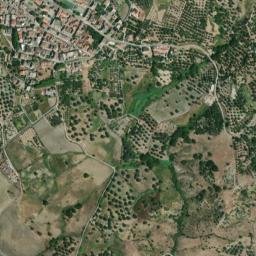 Natile Nuovo map(satellite map)