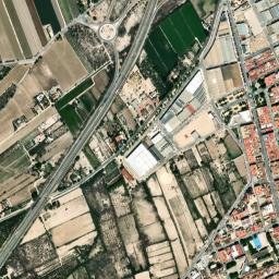 Catral map(satellite map)