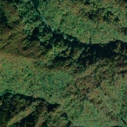Nagai-shi map(satellite map)