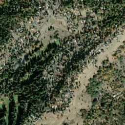 Forest Meadows map(satellite map)