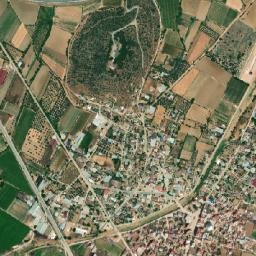 Çaylı map(satellite map)