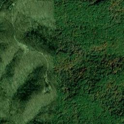 Wayne County map(satellite map)
