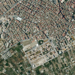 Archena map(satellite map)