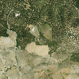 Villaviciosa de Córdoba map(satellite map)