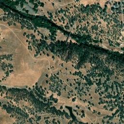 Rancho Calaveras California  High Resolution Satellite Map