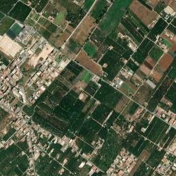 Ciaculli map(satellite map)