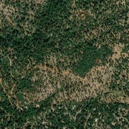 Cedar Ridge map(satellite map)