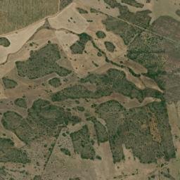 Ferreira do Alentejo map(satellite map)