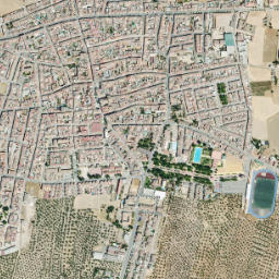 Marmolejo map(satellite map)