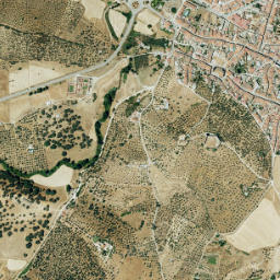 Alanís map(satellite map)