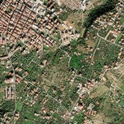 Altavilla Milicia map(satellite map)