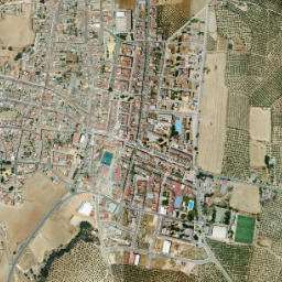 Adamuz map(satellite map)