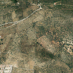 Cañaveral de León map(satellite map)