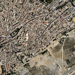 Baeza map(satellite map)