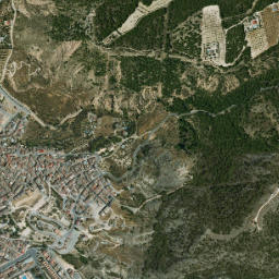 Pliego map(satellite map)