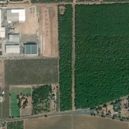 Walthal California High Resolution Satellite Map