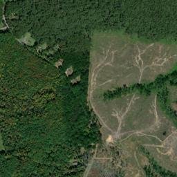 Louisa County map(satellite map)