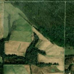 Goldfish Road, Percy, IL 62272, America High Resolution Satellite Map