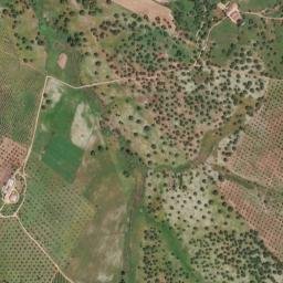 Serpa map(satellite map)