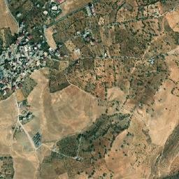 Tillo map(satellite map)