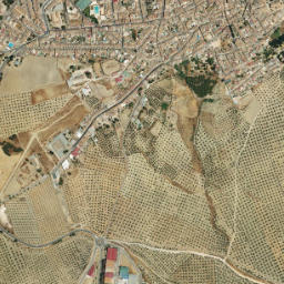 Arjona map(satellite map)