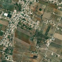 Rilievo map(satellite map)