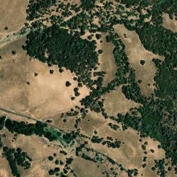 Algerine California High Resolution Satellite Map