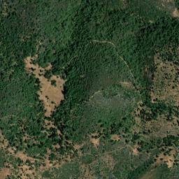 Buchanan California High Resolution Satellite Map