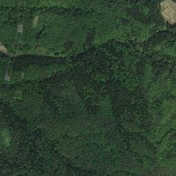 Shibata Shi map(satellite map)