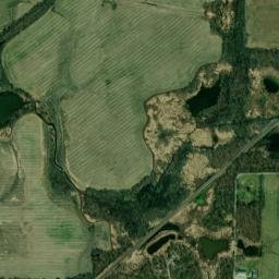 Euclid Street, Royalton, IL 62983, USA High Resolution Satellite Map