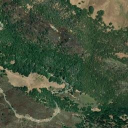2524 S Gate Rd Danville, California map(satellite map)