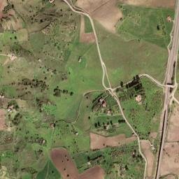 Palermo map(satellite map)