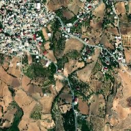 Tut map(satellite map)
