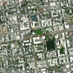 1234 Divisadero St San Francisco, California map(satellite map)