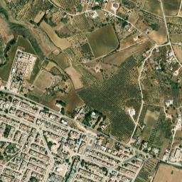 Montevago map(satellite map)