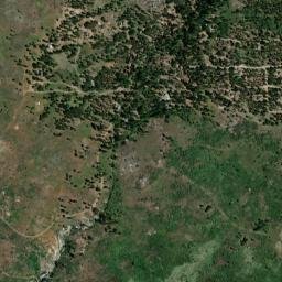 Foresta California High Resolution Satellite Map