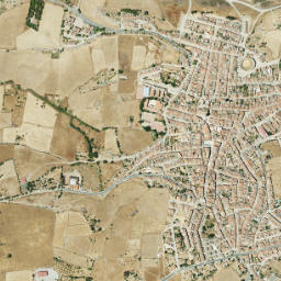Zalamea la Real map(satellite map)