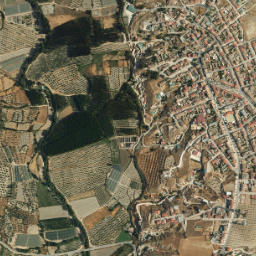 Cortes de Baza map(satellite map)