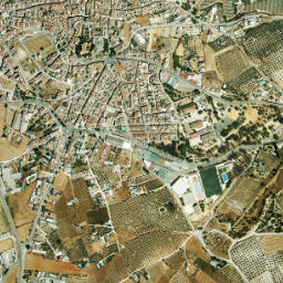 Montemayor map(satellite map)