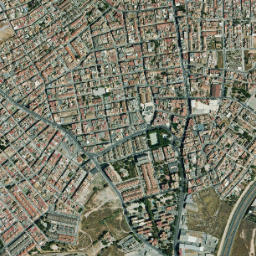 Los Gabatos map(satellite map)