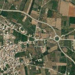 Néa Tírins map(satellite map)