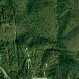 Lee County map(satellite map)