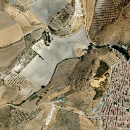 Montejicar map(satellite map)