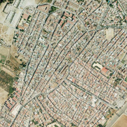 Brenes map(satellite map)