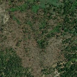 Fish Camp, California Satellite Map