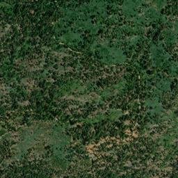 Yosemite National Park Mariposa Grove Road High Resolution Satellite Map